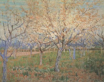 Vincent Van Gogh Orchard with Blossoming Apricot Trees (nn04)_ Sweden oil painting art